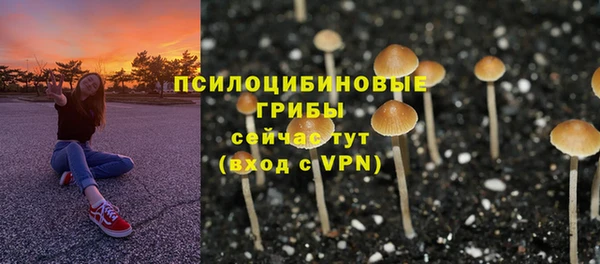 кокаин колумбия Белокуриха